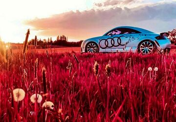 Audi TT 203.000 km 5.500 &euro; Rosenheim 83026