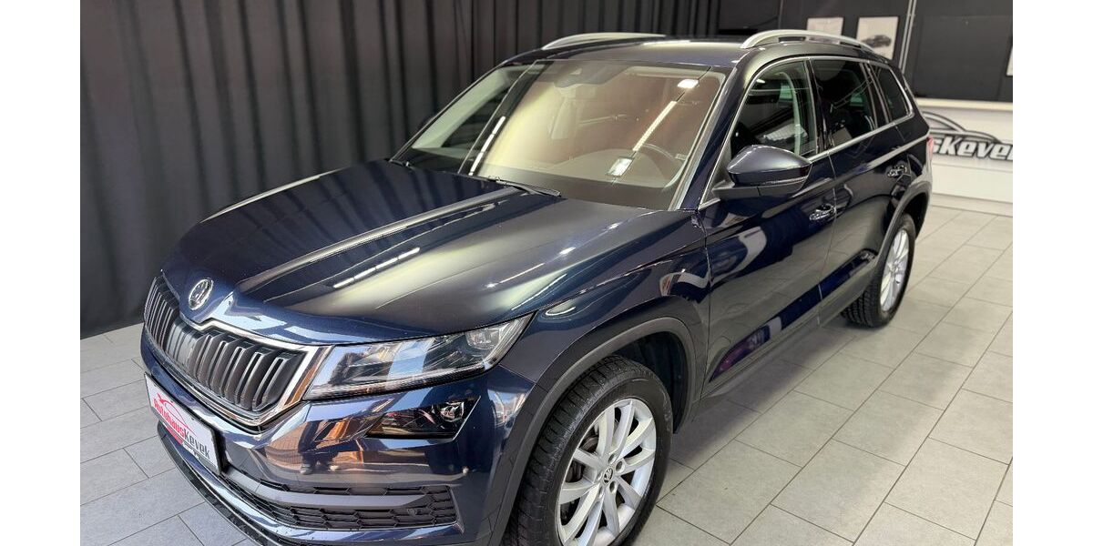 Skoda Kodiaq 195.000 km 20.999 &euro; Miesbach 83714